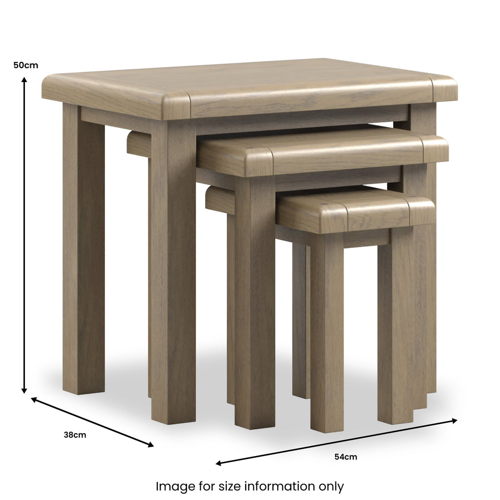Taunton Smoked Oak Nest of 3 Tables — view 5